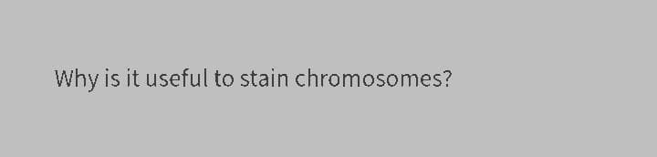 Why is it useful to stain chromosomes?
