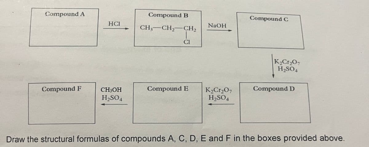 Compound A
Compound F
HCI
CH3OH
H₂SO4
Compound B
CH3 CH₂ CH₂
CI
Compound E
NaOH
K₂Cr₂O7
H₂SO4
Compound C
K₂Cr₂O7
H₂SO4
Compound D
Draw the structural formulas of compounds A, C, D, E and F in the boxes provided above.
