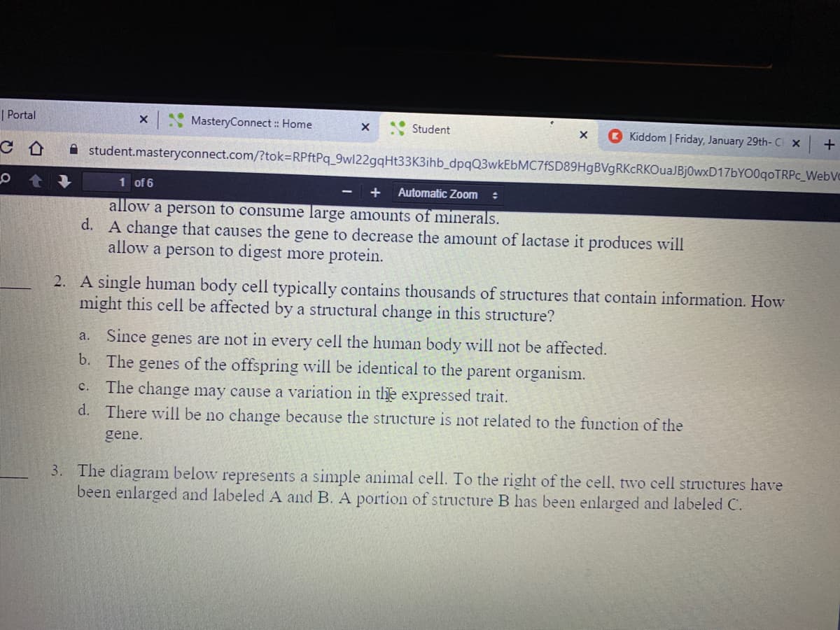 | Portal
MasteryConnect : Home
Student
Kiddom | Friday, January 29th- C x
+
A student.masteryconnect.com/?tok=RPftPq_9wl22gqHt33K3ihb_dpqQ3wkEbMC7fSD89HgBVgRKcRKOuaJBj0wxD17bYO0qoTRPc_WebVo
1 of 6
Automatic Zom
allow a person to consume large amounts of minerals.
d. A change that causes the gene to decrease the amount of lactase it produces will
allow a person to digest more protein.
2. A single human body cell typically contains thousands of structures that contain information. How
might this cell be affected by a structural change in this structure?
a. Since genes are not in every cell the human body will not be affected.
b. The genes of the offspring will be identical to the parent organism.
The change may cause a variation in the expressed trait.
d. There will be no change because the structure is not related to the function of the
c.
gene.
3. The diagram below represents a simple animal cell. To the right of the cell, two cell structures have
been enlarged and labeled A and B. A portion of structure B has been enlarged and labeled C.
