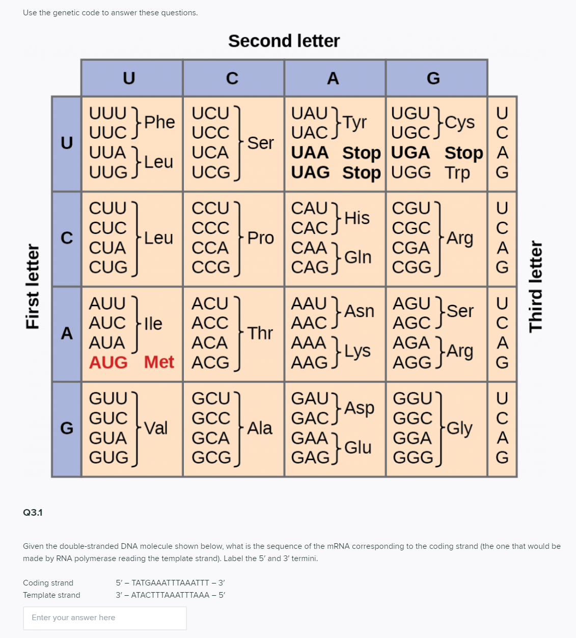 Use the genetic code to answer these questions.
Second letter
U
A
G
UCU)
UCC
UGU)
Cys
UAU Tyr UGccys
UGC.
UUU
U
Phe
UAC
UUC
U
UUA
Ser
}Le
UCA
UAA Stop UGA Stop | A
Leu
UUG.
UCG
UAG Stop UGG Trp
G
CCU
ССС
CAU1
CGU
CGC
Arg
CUU
CÁCHIS
Pro
CUC
Leu
CUA
ССА
САА
CGA
CCG
CAG Gln
CUG
CGG
AAU Asn
AGU
AUU
ACU
Ser
AUC ile
A
AUA
А
ACA
AAC J
Thr
AAA Lys
AGC
JArg
AGA
AUG Met | ACG
AAGJ
AGG.
GCU
GUU)
GUC
G
GUA
GAU
Asp
GACJ
GGU)
GGC
Gly
GCC
- Val
Ala
GCA
GAA
GGA
GCG
Glu
GAGS
GGG
GUG
G
Q3.1
Given the double-stranded DNA molecule shown below, what is the sequence of the MRNA corresponding to the coding strand (the one that would be
made by RNA polymerase reading the template strand). Label the 5' and 3' termini.
Coding strand
5'- ТАTGAAATTТAAATTT - 3'
Template strand
3'— АТАСТТТАААТTТАAA - 5'
Enter your answer here
First letter
DUAG
Third letter
DUAG
