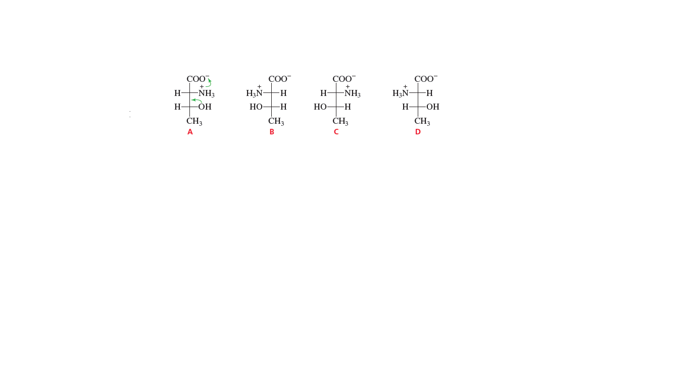 ÇOOT
-NH3
COO
COO
COO
+
HạN-
Но
-NH3
НО —н
H-
H-
H-
H3N
Н— он
H-
H-
Но-
CH3
CH3
ČH3
A
D
