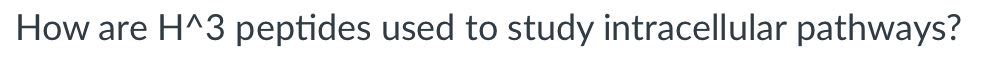 How are H^3 peptides used to study intracellular pathways?
