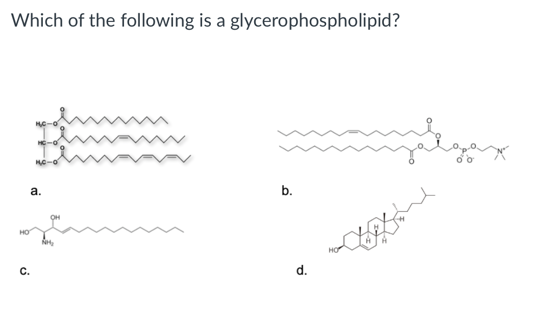 Which of the following is a glycerophospholipid?
H,C-O
HC-O
H,C-o
a.
b.
OH
HO
NH2
С.
d.
