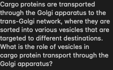Cargo proteins are transported
through the Golgi apparatus to the
trans-Golgi network, where they are
sorted into various vesicles that are
targeted to different destinations.
What is the role of vesicles in
-cargo protein transport through the
Golgi apparatus?
