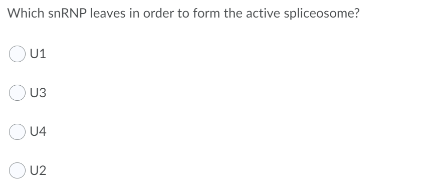 Which snRNP leaves in order to form the active spliceosome?
U1
U3
U4
U2
