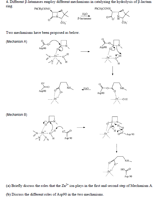 4. Different B-latamases employ different mechanisms in catalyzing the hydrolysis of B-lactam
ring.
PHCH2CONH
PHCH,CONH
.S
H20
B-lactamase
čo,
Two mechanisms have been proposed as below.
(Mechanism A)
Asp90
Asp90
NH.
Asp90
Asp90
---O-H
(Mechanism B)
Asp 90
Asp 90
NH-
HO.
Asp 90
(a) Briefly discuss the roles that the Zn* ion plays in the first and second step of Mechanism A.
(b) Discuss the different roles of Asp90 in the two mechanisms.
