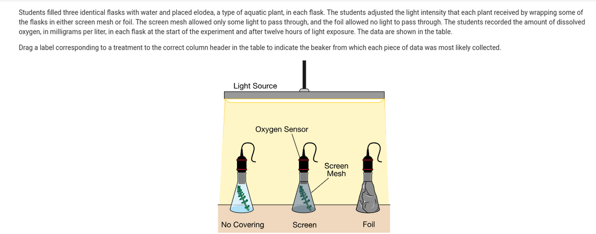 Students filled three identical flasks with water and placed elodea, a type of aquatic plant, in each flask. The students adjusted the light intensity that each plant received by wrapping some of
the flasks in either screen mesh or foil. The screen mesh allowed only some light to pass through, and the foil allowed no light to pass through. The students recorded the amount of dissolved
oxygen, in milligrams per liter, in each flask at the start of the experiment and after twelve hours of light exposure. The data are shown in the table.
Drag a label corresponding to a treatment to the correct column header in the table to indicate the beaker from which each piece of data was most likely collected.
Light Source
Oxygen Sensor
Screen
Mesh
No Covering
Screen
Foil