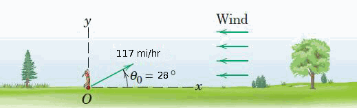 Wind
117 mi/hr
28°
