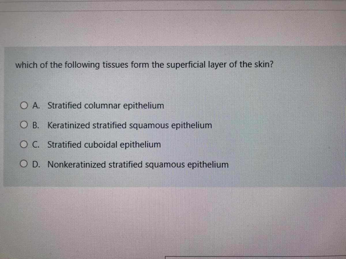 which of the following tissues form the superficial layer of the skin?
O A. Stratified columnar epithelium
O B. Keratinized stratified squamous epithelium
O C. Stratified cuboidal epithelium
O D. Nonkeratinized stratified squamous epithelium
