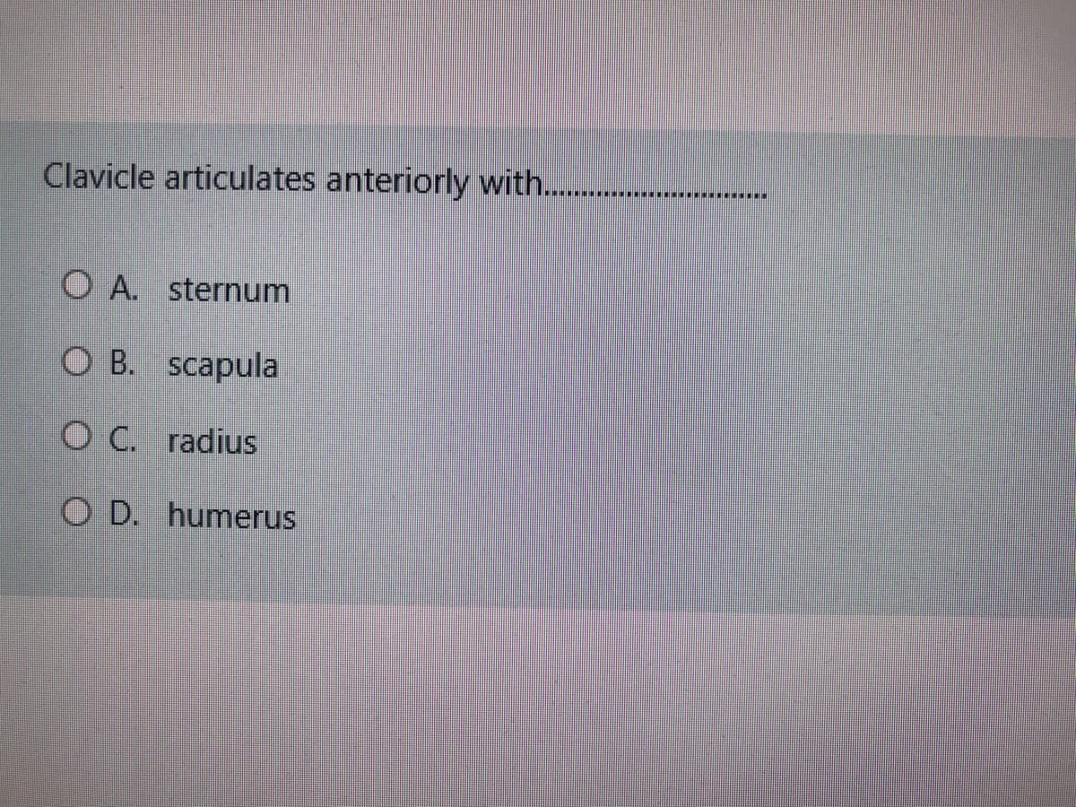 Clavicle articulates anteriorly with...
O A. sternum
O B. scapula
O C. radius
O D. humerus
