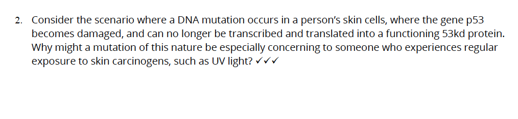 2. Consider the scenario where a DNA mutation occurs in a person's skin cells, where the gene p53
becomes damaged, and can no longer be transcribed and translated into a functioning 53kd protein.
Why might a mutation of this nature be especially concerning to someone who experiences regular
exposure to skin carcinogens, such as UV light? ✓✓✓