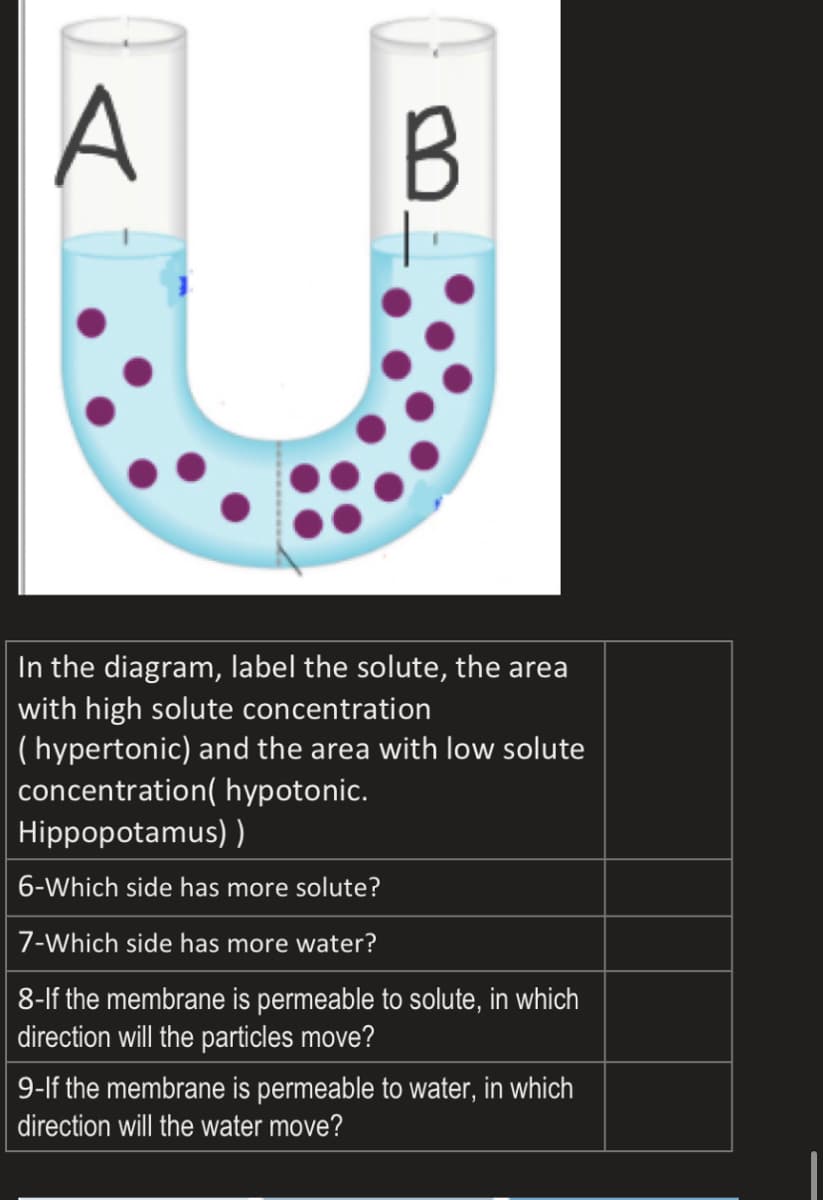 B
In the diagram, label the solute, the area
with high solute concentration
(hypertonic) and the area with low solute
concentration( hypotonic.
Hippopotamus) )
6-Which side has more solute?
7-Which side has more water?
8-lf the membrane is permeable to solute, in which
direction will the particles move?
9-lf the membrane is permeable to water, in which
direction will the water move?
