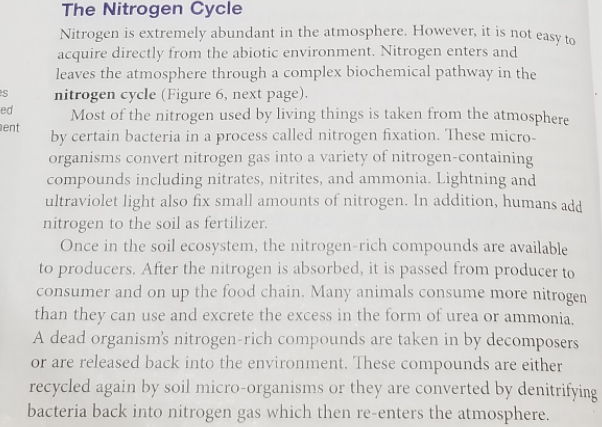 The Nitrogen Cycle
Nitrogen is extremely abundant in the atmosphere. However, it is not easy to
acquire directly from the abiotic environment. Nitrogen enters and
leaves the atmosphere through a complex biochemical pathway in the
nitrogen cycle (Figure 6, next page).
es
ed
Most of the nitrogen used by living things is taken from the atmosphere
Dent
by certain bacteria in a process called nitrogen fixation. These micro-
organisms convert nitrogen gas into a variety of nitrogen-containing
compounds including nitrates, nitrites, and ammonia. Lightning and
ultraviolet light also fix small amounts of nitrogen. In addition, humans add
nitrogen to the soil as fertilizer.
Once in the soil ecosystem, the nitrogen-rich compounds are available
to producers. After the nitrogen is albsorbed, it is passed from producer to
consumer and on up the food chain. Many animals consume more nitrogen
than they can use and excrete the excess in the form of urea or ammonia.
A dead organism's nitrogen-rich compounds are taken in by decomposers
or are released back into the environment. These compounds are either
recycled again by soil micro-organisms or they are converted by denitrifying
bacteria back into nitrogen gas which then re-enters the atmosphere.
