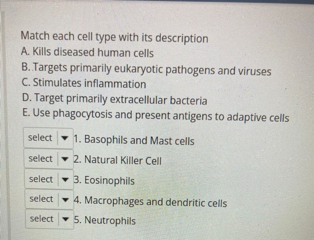 Match each cell type with its description
A. Kills diseased human cells
B. Targets primarily eukaryotic pathogens and viruses
C. Stimulates inflammation
D. Target primarily extracellular bacteria
E. Use phagocytosis and present antigens to adaptive cells
select 1. Basophils and Mast cells
select 2. Natural Killer Cell
select 3. Eosinophils
select
♥ 4. Macrophages and dendritic cells
select - 5. Neutrophils
