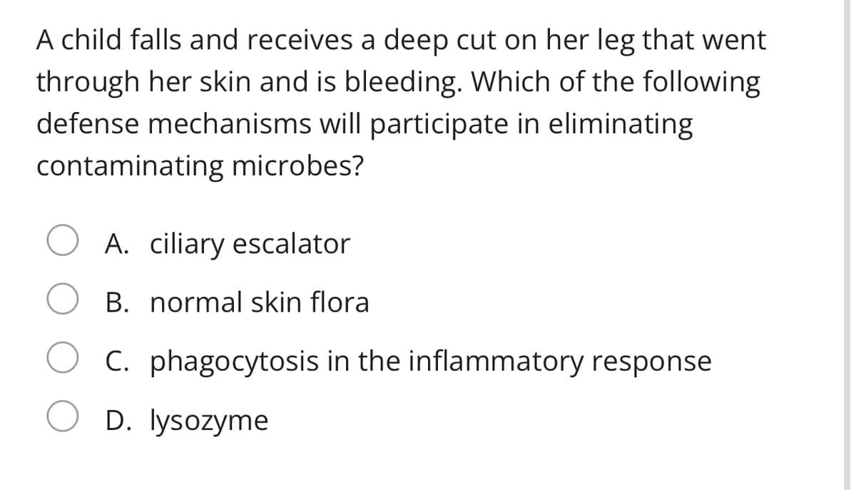 A child falls and receives a deep cut on her leg that went
through her skin and is bleeding. Which of the following
defense mechanisms will participate in eliminating
contaminating microbes?
A. ciliary escalator
B. normal skin flora
C. phagocytosis in the inflammatory response
D. Iysozyme
