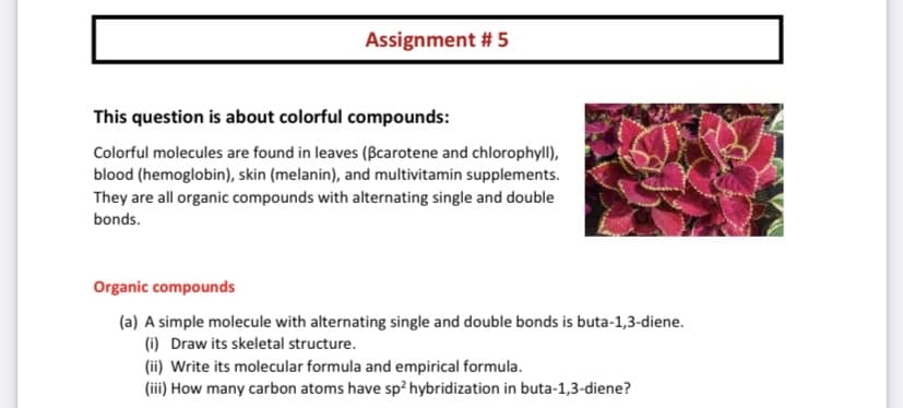 Assignment # 5
This question is about colorful compounds:
Colorful molecules are found in leaves (Bcarotene and chlorophyll),
blood (hemoglobin), skin (melanin), and multivitamin supplements.
They are all organic compounds with alternating single and double
bonds.
Organic compounds
(a) A simple molecule with alternating single and double bonds is buta-1,3-diene.
(i) Draw its skeletal structure.
(ii) Write its molecular formula and empirical formula.
(iii) How many carbon atoms have sp? hybridization in buta-1,3-diene?
