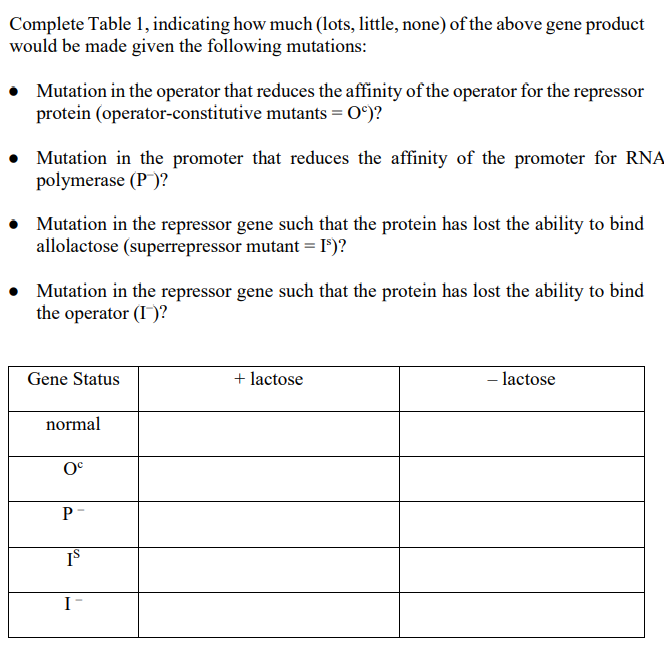 Complete Table 1, indicating how much (lots, little, none) of the above gene product
would be made given the following mutations:
• Mutation in the operator that reduces the affinity of the operator for the repressor
protein (operator-constitutive mutants=0°)?
Mutation in the promoter that reduces the affinity of the promoter for RNA
polymerase (P)?
Mutation in the repressor gene such that the protein has lost the ability to bind
allolactose (superrepressor mutant = I³)?
Mutation in the repressor gene such that the protein has lost the ability to bind
the operator (I)?
Gene Status
normal
0°
P-
IS
I-
+ lactose
- lactose