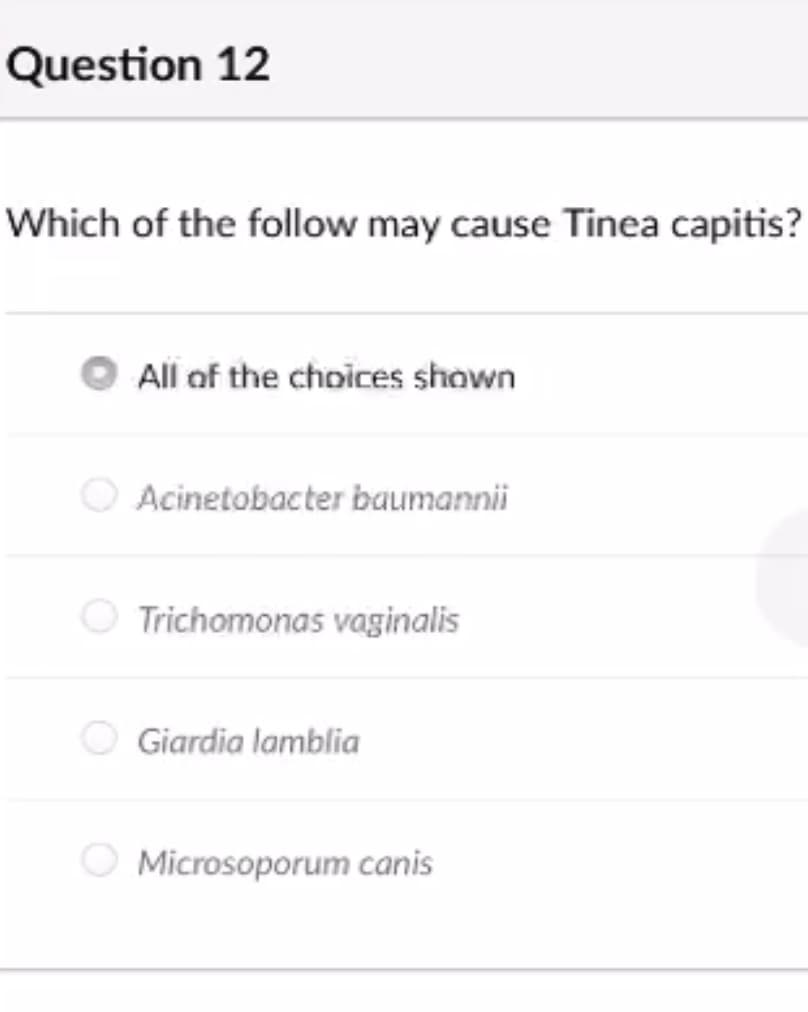 Question 12
Which of the follow may cause Tinea capitis?
All of the choices shown
Acinetobacter baumannii
Trichomonas vaginalis
Giardia lamblia
Microsoporum canis
