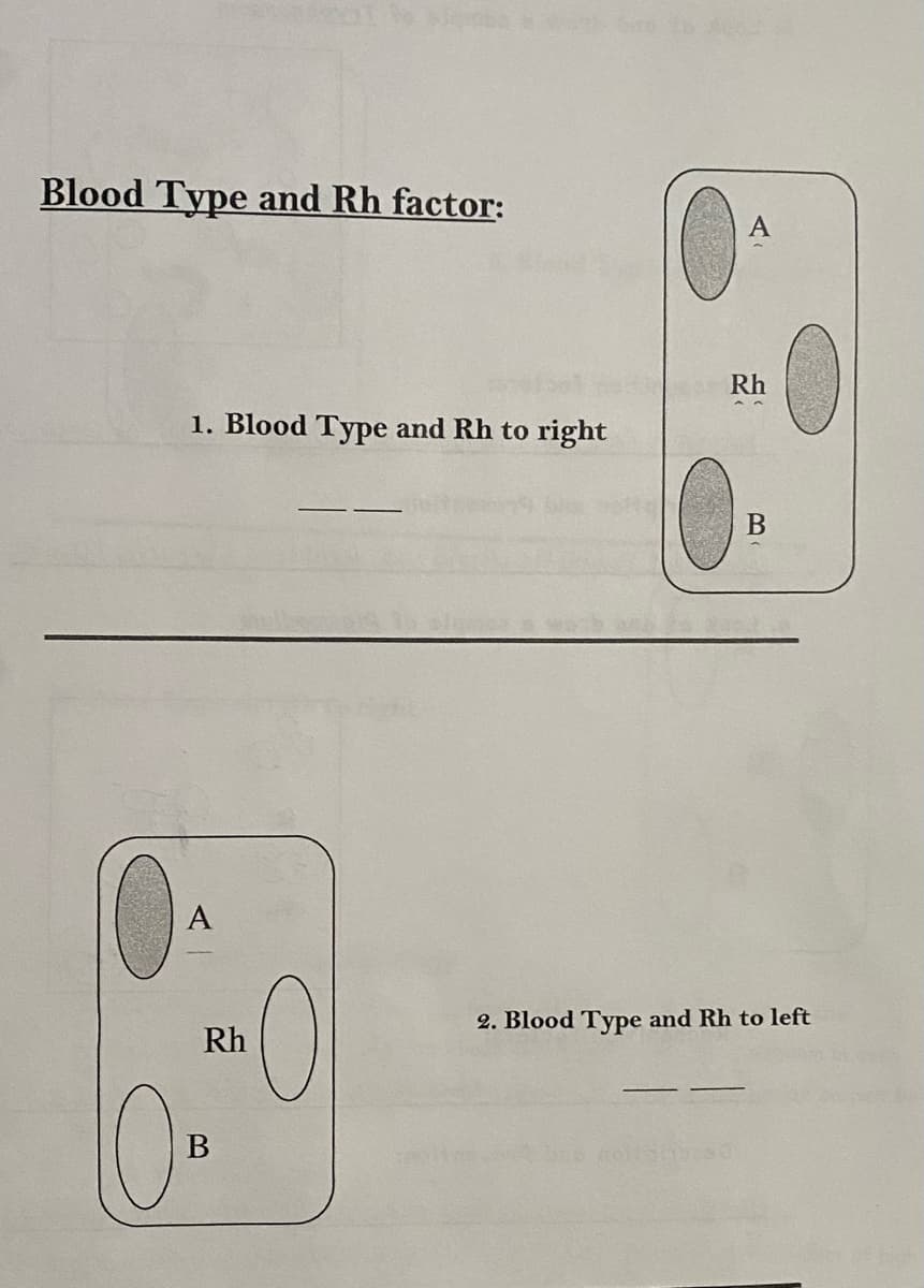 Blood Type and Rh factor:
Rh
1. Blood Type and Rh to right
А
2. Blood Type and Rh to left
Rh
10.
B
