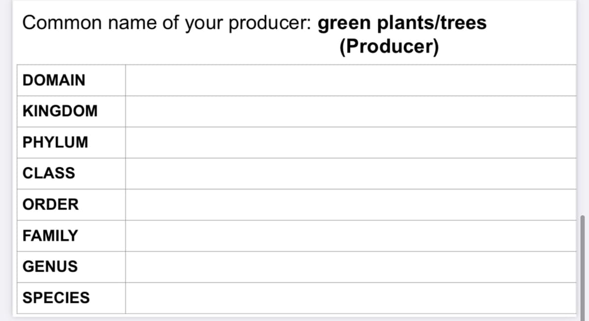 Common name of your producer: green plants/trees
(Producer)
DOMAIN
KINGDOM
PHYLUM
CLASS
ORDER
FAMILY
GENUS
SPECIES
