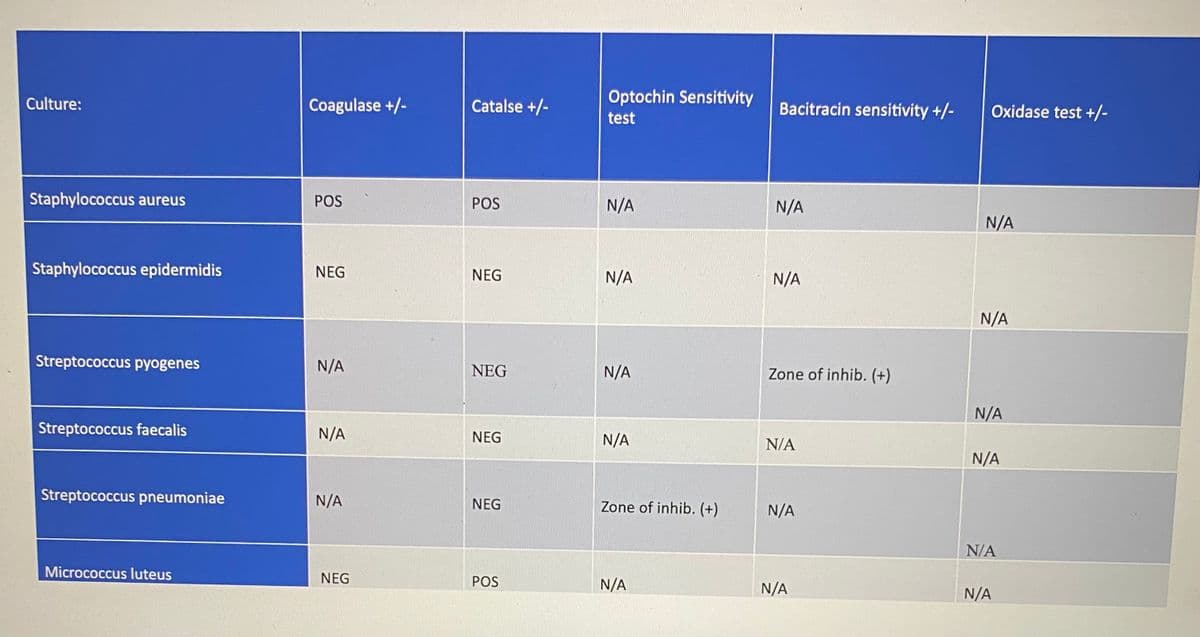 Catalse +/-
Optochin Sensitivity
Culture:
Coagulase +/-
Bacitracin sensitivity +/-
Oxidase test +/-
test
Staphylococcus aureus
POS
POS
N/A
N/A
N/A
Staphylococcus epidermidis
NEG
NEG
N/A
N/A
N/A
Streptococcus pyogenes
N/A
NEG
N/A
Zone of inhib. (+)
N/A
Streptococcus faecalis
N/A
NEG
N/A
N/A
N/A
Streptococcus pneumoniae
N/A
NEG
Zone of inhib. (+)
N/A
N/A
Micrococcus luteus
NEG
POS
N/A
N/A
N/A
