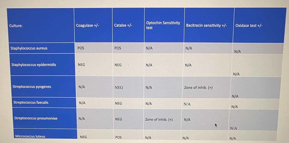Optochin Sensitivity
Culture:
Coagulase +/-
Catalse +/-
Bacitracin sensitivity +/-
Oxidase test +/-
test
Staphylococcus aureus
POS
POS
N/A
N/A
N/A
Staphylococcus epidermidis
NEG
NEG
N/A
N/A
N/A
Streptococcus pyogenes
N/A
NEG
N/A
Zone of inhib. (+)
N/A
Streptococcus faecalis
N/A
NEG
N/A
N/A
N/A
Streptococcus pneumoniae
N/A
NEG
Zone of inhib. (+)
N/A
N/A
Micrococcus luteus
NEG
POS
N/A
N/A
N/A
