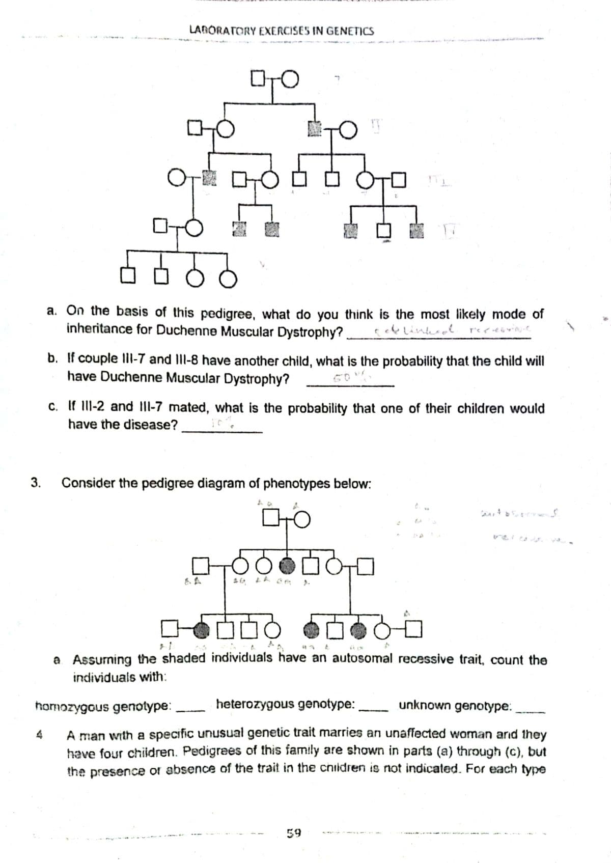 LARORATORY EXERCISES IN GENETICS
a. On the basis of this pedigree, what do you think is the most likely mode of
inheritance for Duchenne Muscular Dystrophy? ceklinkeol rerdy
오오모모
b. If couple ll-7 and Ill-8 have another child, what is the probability that the child will
have Duchenne Muscular Dystrophy?
50
c. If IlII-2 and III-7 mated, what is the probability that one of their children would
have the disease?
3.
Consider the pedigree diagram of phenotypes below:
a Assuming the shaded individuals have an autosomal recessive trait, count the
individuals with:
homozygous genotype:
heterozygous genotype:
unknown genotype:
A man with a specific unusual genetic trait marries an unaffected woman arnd they
have four children. Pedigrees of this family are shown in parts (a) through (c), but
the presence or absence of the trait in the children is not indicated. For each type
4
59
