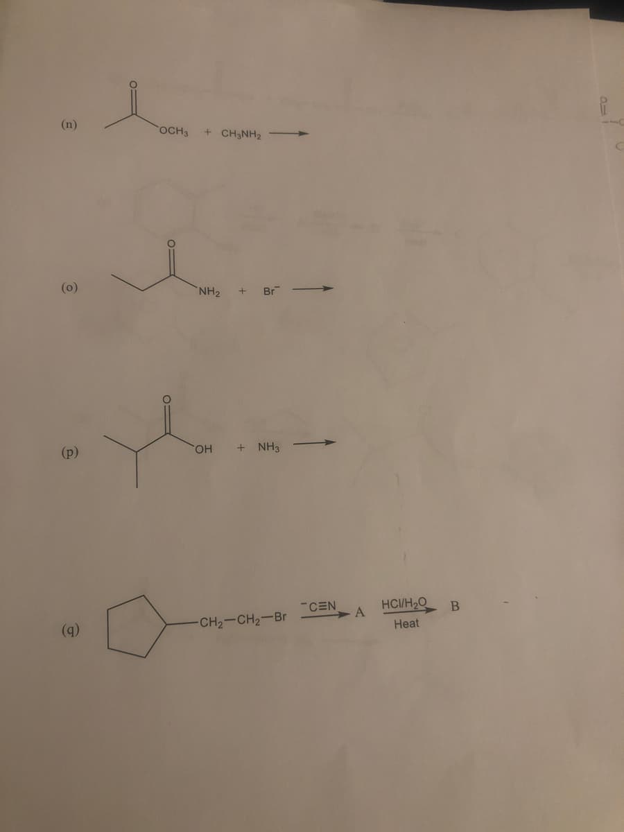 (n)
(0)
(p)
OCH 3 + CH3NH₂
NH₂ + Br
OH +
NH3
-CH₂-CH₂-Br
-CEN
A
HCI/H2O
Heat
В
C