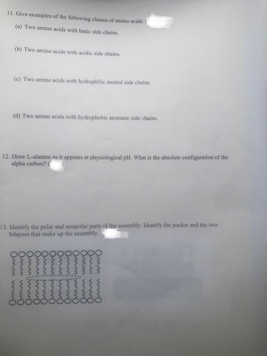 11. Give examples of the following classes of amino acids: (
(a) Two amino acids with basic side chains.
(b) Two amino acids with acidic side chains.
(c) Two amino acids with hydrophilic neutral side chains.
(d) Two amino acids with hydrophobic aromatic side chains.
12. Draw L-alanine as it appears at physiological pH. What is the absolute configuration of the
alpha carbon? (
13. Identify the polar and nonpolar parts of the assembly. Identify the pocket and the two
bilayers that make up the assembly.
Omm wo
Om
Om ww
Omnimo
Omnimo
Om ww
Omm
Omnimo
Omnimo
Omm, ww
Omm mmo