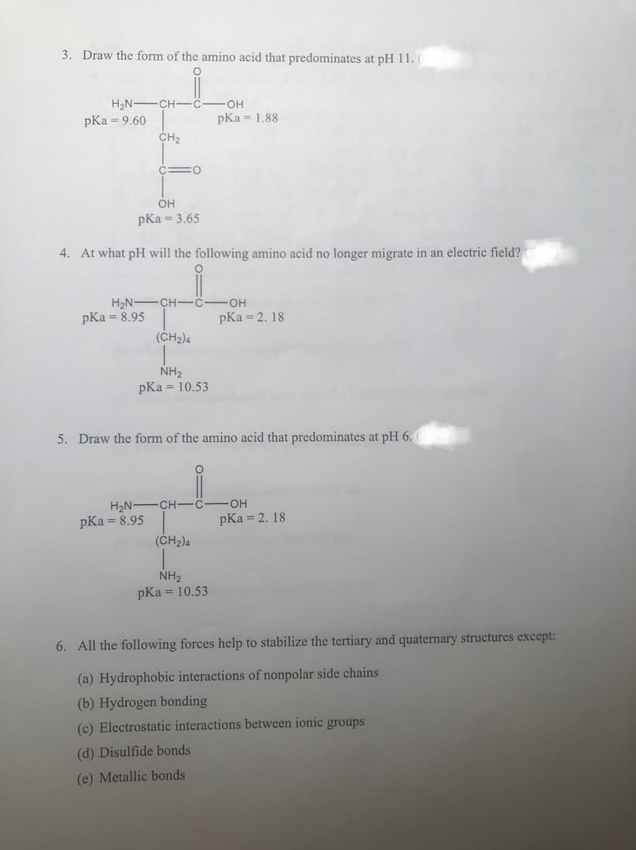 3. Draw the form of the amino acid that predominates at pH 11. (
H₂N-CH-
pKa = 9.60
CH₂
pKa = 8.95
c=0
OH
pKa = 3.65
4. At what pH will the following amino acid no longer migrate in an electric field?
H₂N-CH-
(CH2)4
pKa = 8.95
NH₂
pKa = 10.53
H₂N-CH-
C
5. Draw the form of the amino acid that predominates at pH 6.
(CH2)4
O
OH
pKa = 1.88
C
NH₂
pKa = 10.53
-OH
pKa = 2. 18
-OH
pKa = 2.18
6. All the following forces help to stabilize the tertiary and quaternary structures except:
(a) Hydrophobic interactions of nonpolar side chains
(b) Hydrogen bonding
(c) Electrostatic interactions between ionic groups
(d) Disulfide bonds
(e) Metallic bonds