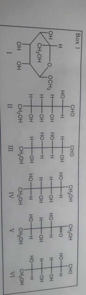Box 1
OH
H
CH₂OH
OH
I
OH
НО
OCH3
Н
Н-
Н-
CHO
TH
OH
OH
OH
CH₂OH
II
CHO
H-OH
HO-H
HO-H
Н- + OH
CH₂OH
III
НО
Н
Н
НО
CH2OH
H
OH
OH
TH
CH₂OH
IV
CH2OH
0
но-
H
НО H
H
OH
CH2OH
V
НО
CHO
-H
H-OH
Н
OH
НО -Н
CH2OH
VI