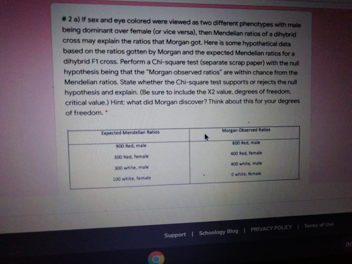 #2 a) If sex and eye colored were viewed as two different phenotypes with male
being dominant over female (or vice versa), then Mendelian ratios of a dihybrid
cross may explain the ratios that Morgan got. Here is some hypothetical data
based on the ratios gotten by Morgan and the expected Mendelian ratios for a
dihybrid F1 cross. Perform a Chi-square test (separate scrap paper) with the null
hypothesis being that the "Morgan observed ratios" are within chance from the
Mendelian ratios. State whether the Chi-square test supports or rejects the null
hypothesis and explain. (Be sure to include the X2 value, degrees of freedom,
critical value.) Hint: what did Morgan discover? Think about this for your degrees
of freedom.*
Expected Mendelian Ratios
Morgan Observed Ratios
900 Red, male
800 Red, male
300 Red, female
400 Red, female
300 white, male
400 white, male
O white, female
100 white, female
Terms of Use
Support | Schoology Blog | PRIVACY POLICY
IN
