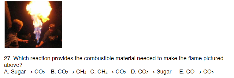 MIGALDAM
27. Which reaction provides the combustible material needed to make the flame pictured
above?
A. Sugar → CO₂ B. CO₂ → CH4 C. CH4→ CO₂ D. CO₂ → Sugar
E. CO → CO₂
