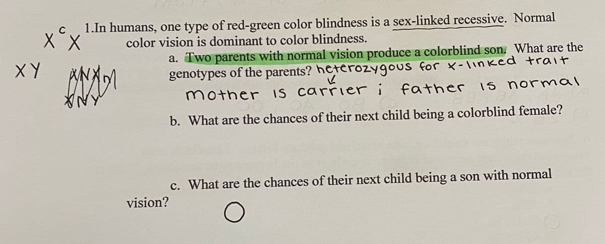 1.In humans, one type of red-green color blindness is a sex-linked recessive. Normal
color vision is dominant to color blindness.
a. Two parents with normal vision produce a colorblind son. What are the
genotypes of the parents? heterozygous for x-1inked trait
mother IS carrier i father
XY
ANX
is normal
b. What are the chances of their next child being a colorblind female?
c. What are the chances of their next child being a son with normal
vision?

