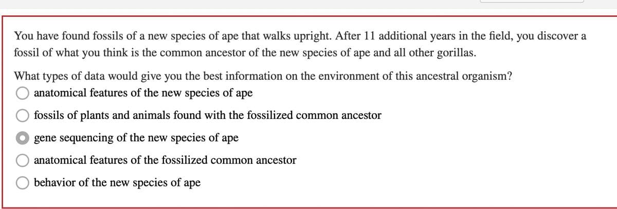 You have found fossils of a new species of ape that walks upright. After 11 additional years in the field, you discover a
fossil of what you think is the common ancestor of the new species of ape and all other gorillas.
What types of data would give you the best information on the environment of this ancestral organism?
anatomical features of the new species of ape
fossils of plants and animals found with the fossilized common ancestor
gene sequencing of the new species of ape
anatomical features of the fossilized common ancestor
behavior of the new species of ape