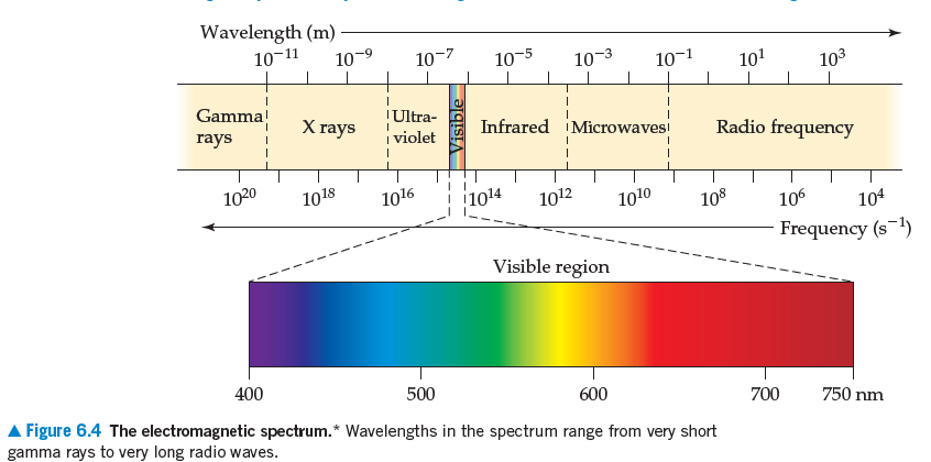 Wavelength (m) ·
10-11
10-9
10-7
10-5
10-3
10-1
101
103
Gamma!
rays
TUltra-
i violet
X rays
Infrared iMicrowavesi
Radio frequency
1020
1018
1016
1014
1012
1010
108
106
104
Frequency (s~1)
Visible region
400
500
600
A Figure 6.4 The electromagnetic spectrum.* Wavelengths in the spectrum range from very short
gamma rays to very long radio waves.
700
750 nm
Visible
