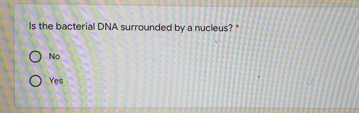 Is the bacterial DNA surrounded by a nucleus? *
No
O Yes
