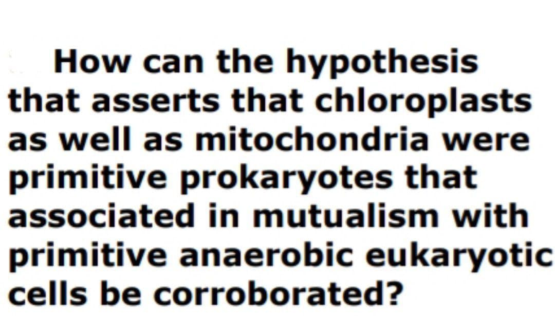 How can the hypothesis
that asserts that chloroplasts
as well as mitochondria were
primitive prokaryotes that
associated in mutualism with
primitive anaerobic eukaryotic
cells be corroborated?
