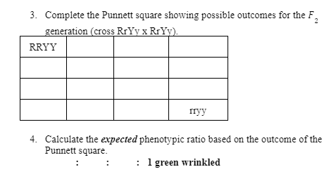 3. Complete the Punnett square showing possible outcomes for the F,
2
generation (cross RrYy x RrYy).
RRYY
rryy
4. Calculate the expected phenotypic ratio based on the outcome of the
Punnett square.
: 1 green wrinkle
:
