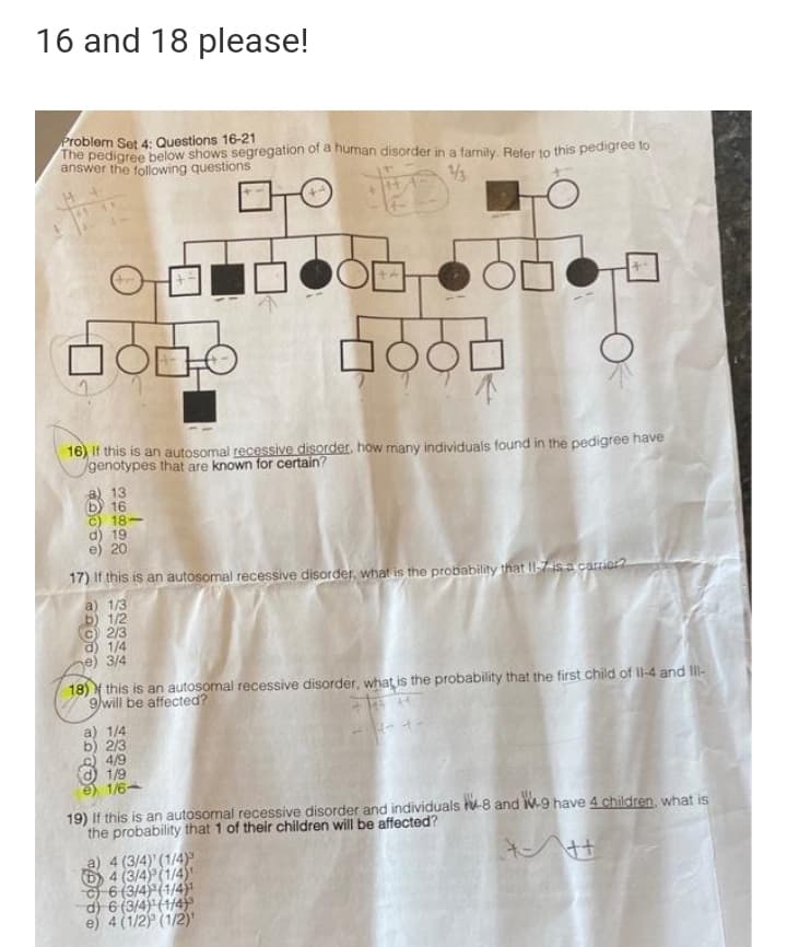 16 and 18 please!
Problem Set 4: Questions 16-21
The pedigree below shows segregation of a human disorder in a farmily. Refer to this pedigree to
answer the following questions
1/3
16) If this is an autosomal recessive disorder, how many individuals found in the pedigree have
genotypes that are known for certain?
a) 13
b) 16
C) 18
d) 19
e) 20
17) If this is an autosomal recessive disorder, what is the probability that Il-7is a carier?
a) 1/3
b) 1/2
©) 2/3
d) 1/4
e) 3/4
18) this is an autosomal recessive disorder, what is the probability that the first child of Il-4 and IlI-
9/will be affected?
a) 1/4
b) 2/3
) 4/9
1/9
1/6-
19) If this is an autosomal recessive disorder and individuals V-8 and M-9 have 4 children, what is
the probability that 1 of their children will be affected?
a) 4 (3/4)' (1/4)
4 (3/4) (1/4)
6 (3/4) (1/4)!
d) 6 (3/4) (1/4)
e) 4 (1/2 (1/2)
