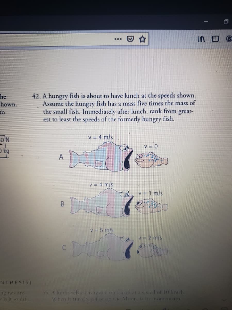 ...
42. A hungry fish is about to have lunch at the spceds shown.
Assume the hungry fish has a mass five times the mass of
the small fish. Immediately after lunch, rank from
est to least the speeds of the formerly hungry fish.
he
hown.
to
great-
ON
V = 4 m/s
V = 0
O kg
A
v 4 m/s
v = 1 m/s
v 5 m/s
v = 2 m/s
NTHESIS)
ngines are
is it so dif
55. A lunar vebikle is rested on Iarth ar a specd of 10 km/h.
When it travels as Last on the Moon. is its momenrim
D
る
