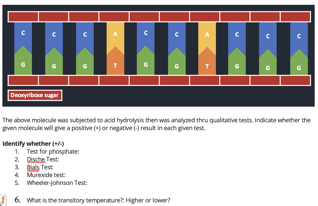 C
C
C
C
C
C
C
G
T
Deoxyribose sugar
The above molecule was subjected to acid hydrolysis then was analyzed thru qualitative tests. Indicate whether the
given molecule will give a positive (+) or negative (-) result in each given test.
Identify whether (+/-)
Test for phosphate:
2. Dische Test:
Bials Test:
Murexide test:
1.
3.
4.
5. Wheeler-Johnson Test:
* 6. What is the transitory temperature?: Higher or lower?
