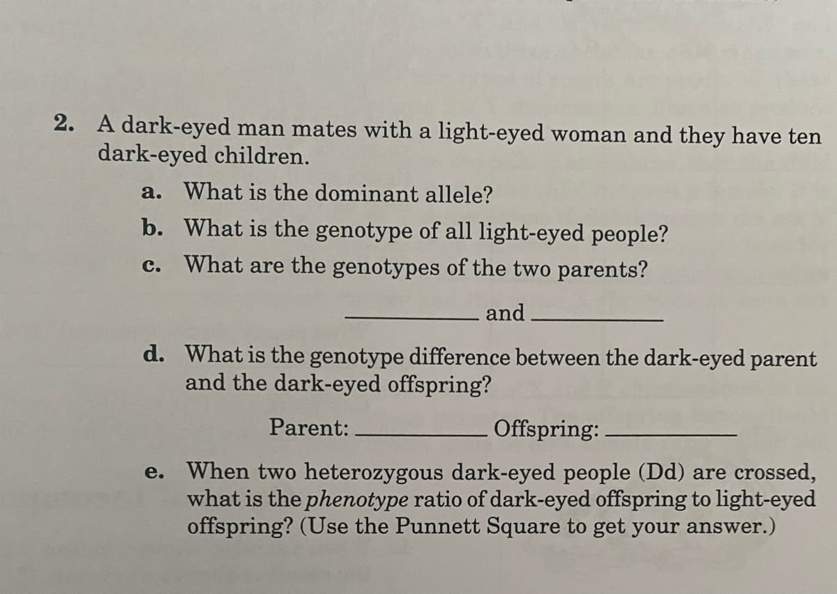 2. A dark-eyed man mates with a light-eyed woman and they have ten
dark-eyed children.
a. What is the dominant allele?
b. What is the genotype of all light-eyed people?
c. What are the genotypes of the two parents?
and
d. What is the genotype difference between the dark-eyed parent
and the dark-eyed offspring?
Parent:
Offspring:
e. When two heterozygous dark-eyed people (Dd) are crossed,
what is the phenotype ratio of dark-eyed offspring to light-eyed
offspring? (Use the Punnett Square to get your answer.)
