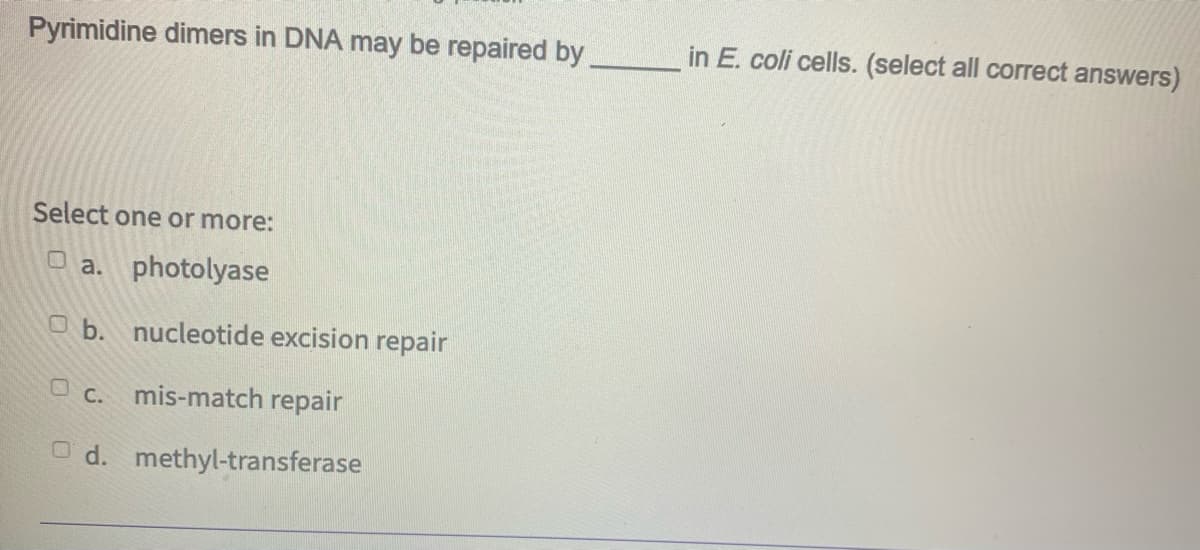 Pyrimidine dimers in DNA may be repaired by
in E. coli cells. (select all correct answers)
Select one or more:
O a. photolyase
O b. nucleotide excision repair
O c. mis-match repair
O d. methyl-transferase
