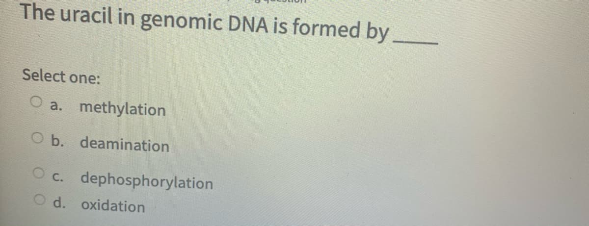 The uracil in genomic DNA is formed by,
Select one:
a. methylation
O b. deamination
O c. dephosphorylation
O d. oxidation
