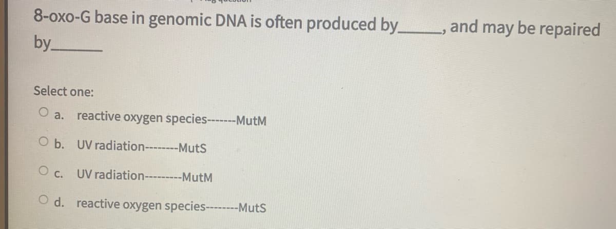 8-oxo-G base in genomic DNA is often produced by_
and may be repaired
by
Select one:
O a. reactive oxygen species-----MutM
O b. UV radiation-------MutS
O c. UV radiation-------MutM
O d. reactive oxygen species------MutS
