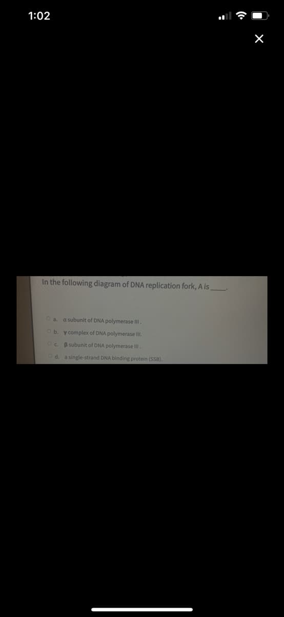 1:02
In the following diagram of DNA replication fork, A is
O a. a subunit of DNA polymerase III.
b. y complex of DNA polymerase III.
c. B subunit of DNA polymerase III.
a single-strand DNA binding protein (SSB).
