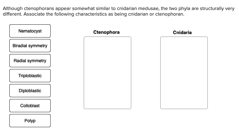 Although ctenophorans appear somewhat similar to cnidarian medusae, the two phyla are structurally very
different. Associate the following characteristics as being cnidarian or ctenophoran.
Nematocyst
Ctenophora
Cnidaria
Biradial symmetry
Radial symmetry
Triploblastic
Diploblastic
Colloblast
Polyp
