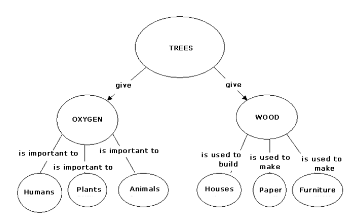 TREES
give
give
OXYGEN
WOOD
is important to
is important to
is used to is used to is used to
build
is important to
make
make
Humans
Plants
Animals
Houses
Раper
Furniture
