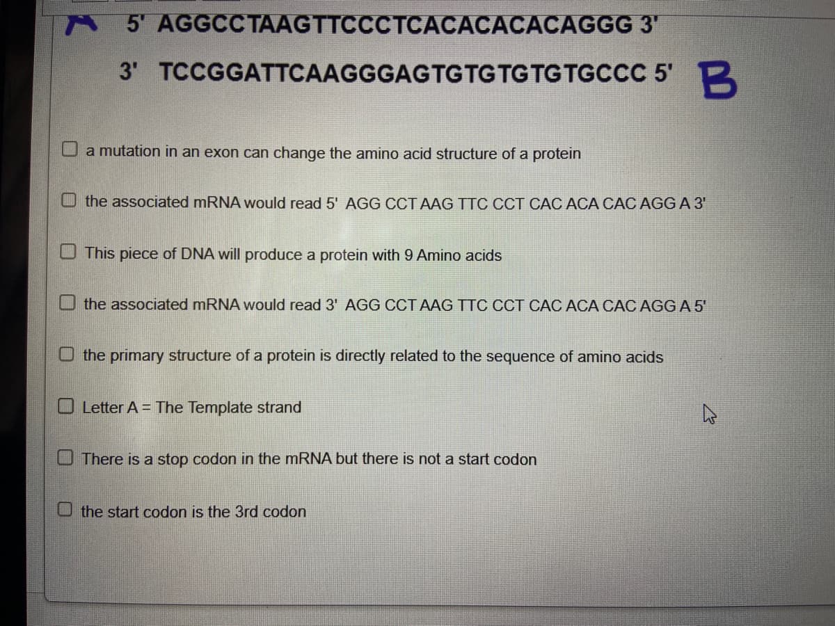 5' AGGCCTAAGTTCCCTCACACACACAGGG 3′
3' TCCGGATTCAAGGGAGTGTGTGTGTGCCC 5' B
a mutation in an exon can change the amino acid structure of a protein
the associated mRNA would read 5' AGG CCT AAG TTC CCT CAC ACA CAC AGG A 3'
This piece of DNA will produce a protein with 9 Amino acids
the associated mRNA would read 3' AGG CCT AAG TTC CCT CAC ACA CAC AGG A 5'
the primary structure of a protein is directly related to the sequence of amino acids
Letter A = The Template strand
There is a stop codon in the mRNA but there is not a start codon
the start codon is the 3rd codon